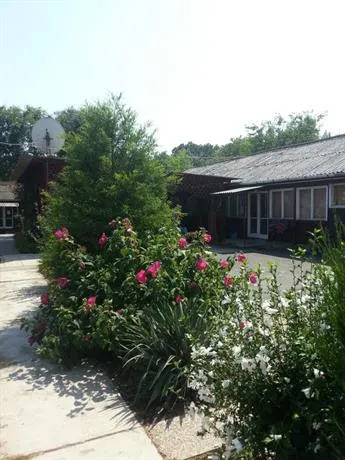 Tiszaligeti Motel & Camping - Image 1