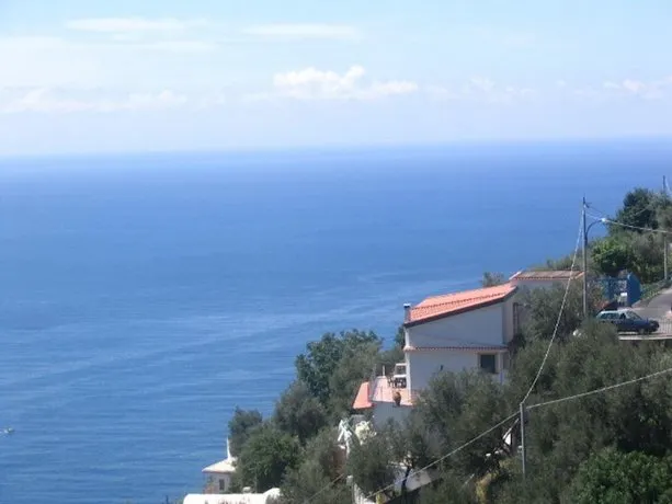 Amalfi Coast Bougainvillea - Image 1