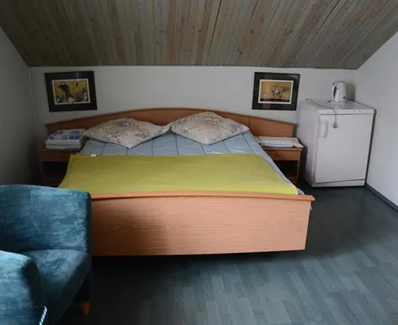 Hotel Simple Druskininkai - Image 1