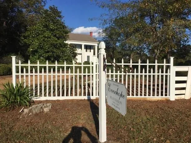 Everhope Plantation - Image 1