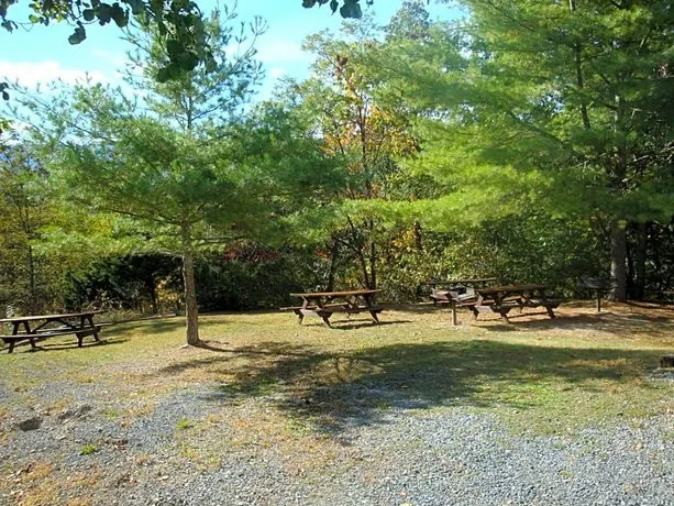 Senedo Springs - Image 1