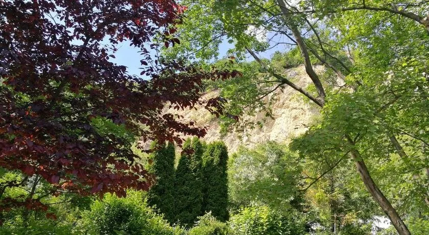 Cabin in the woods - Image 1