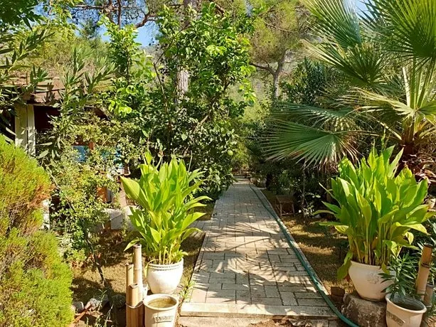Adrasan Sekerbahce Otel - Image 1