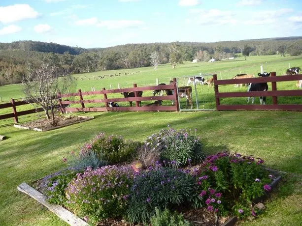 Chester Hill - Image 1