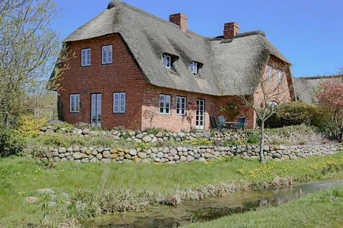 Reethus Ulla - Image 1