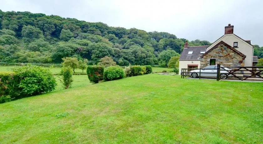 Llysyfelin - Image 1