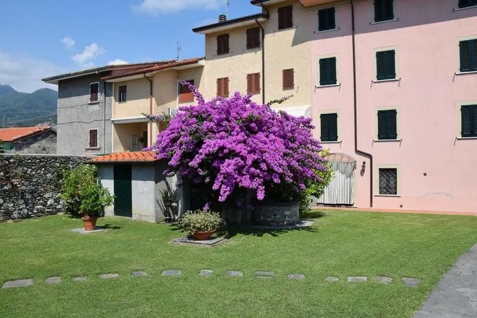 Bouganville - Image 1