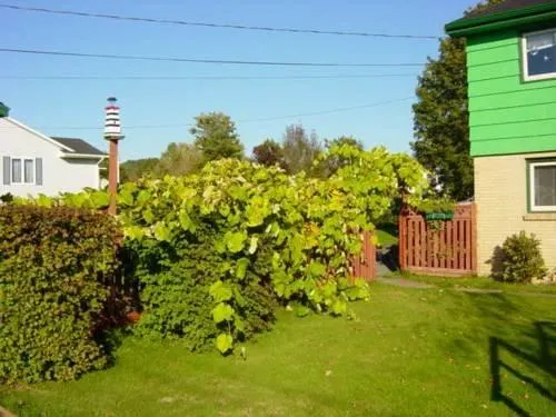 Suncatcher Bed & Breakfast - Image 1