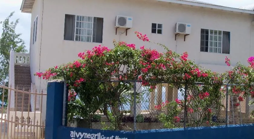 Alvynegril Guest House - Image 1