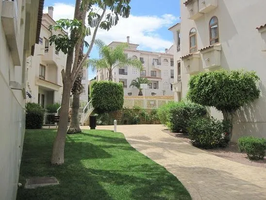 Blue Terrazas Albir - Image 1