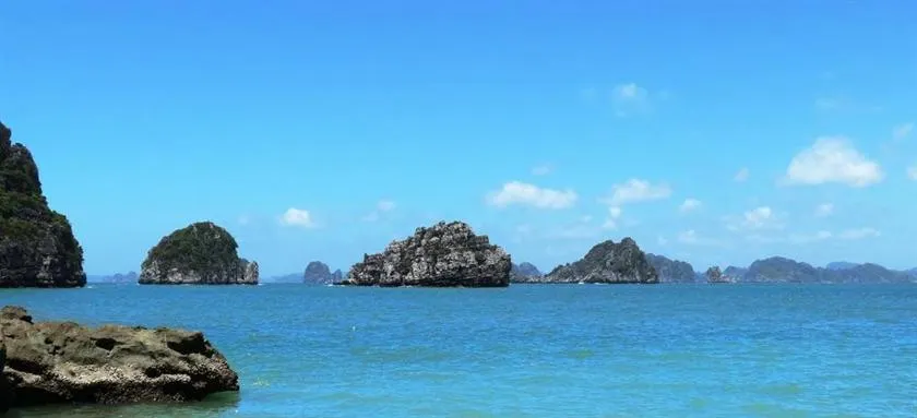 Bai Tu Long Junks - Image 1