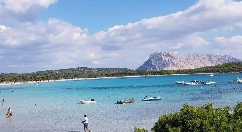 San Teodoro da Zio Mimmo - Image 1