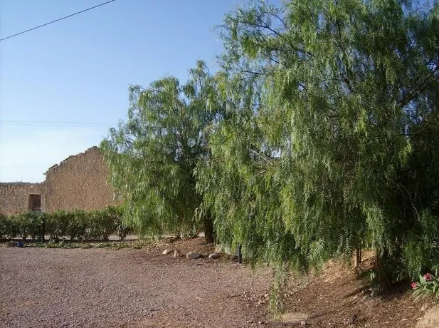 Finca Europeca - Image 1