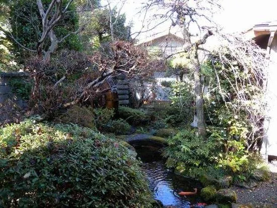 Koensou - Image 1