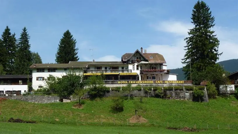 Friedenshöhe - Image 1
