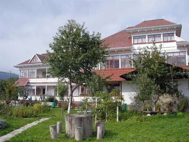 Padurea De Argint - Image 1