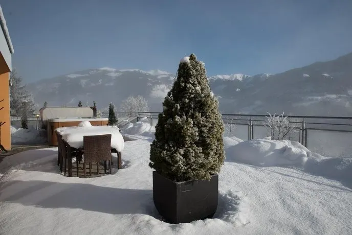 Penthouse Sonnberg - Image 1