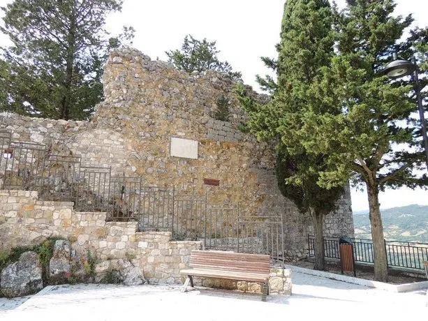 Oliva Rossa - Image 1