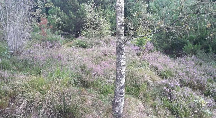 Hytten - Image 1