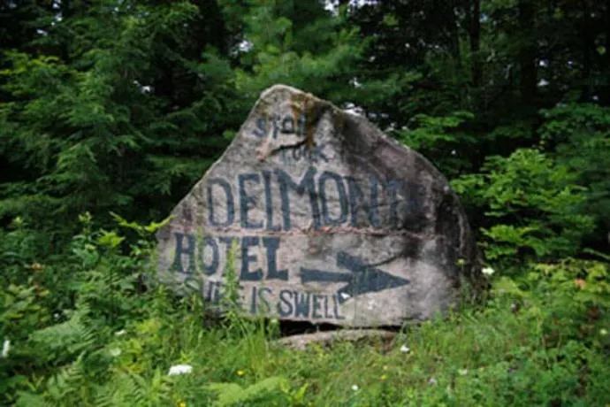 Delmonte in the Pines - Image 1