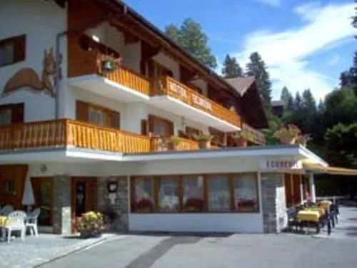 Ecureuil Villars-sur-Ollon - Image 1