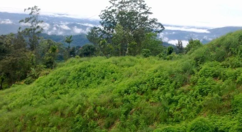 NATUREDALE - Image 1