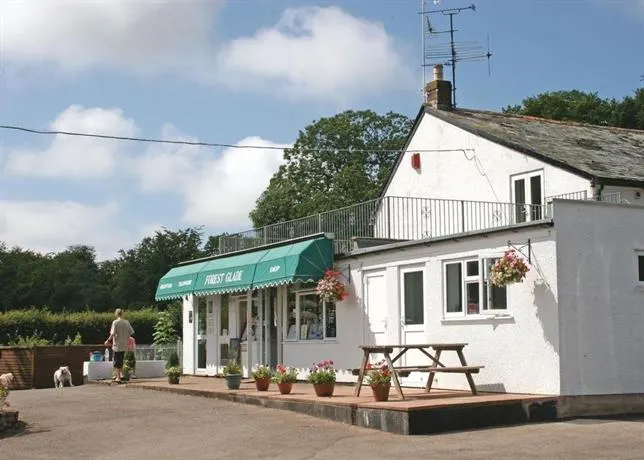 Forest Glade Holiday Park - Image 1