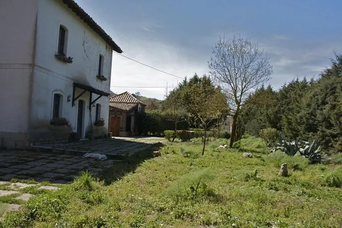 Azienda Agricola Traina - Image 1