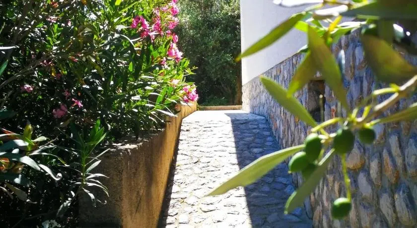 Ecohouse Oliveglia - Image 1