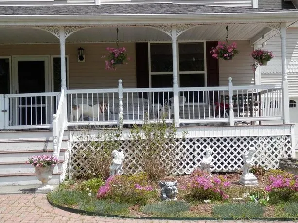 Three Dogs Villa - Image 1