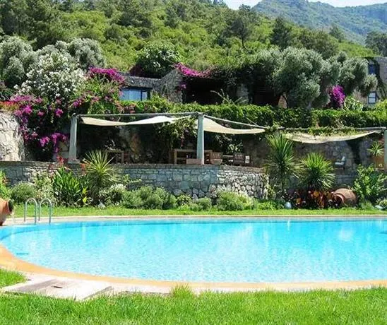 Antik Zeytin Hotel & Art - Image 1