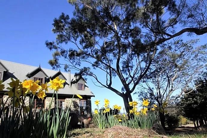 The Great House BnB - Image 1