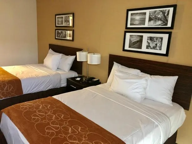 Sleep Inn - Image 1