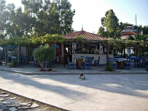 Mirto - Image 1