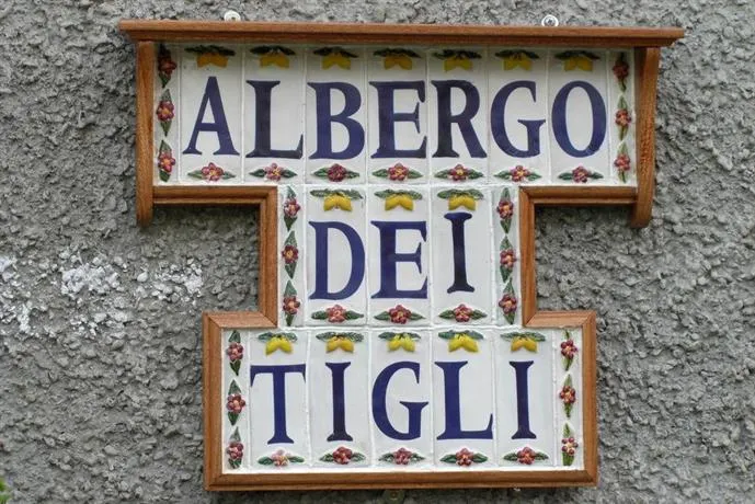 Albergo dei Tigli - Image 1