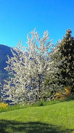 Hotel Garni Alpes - Image 1