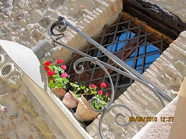 La Gatta sul Tetto - Image 1