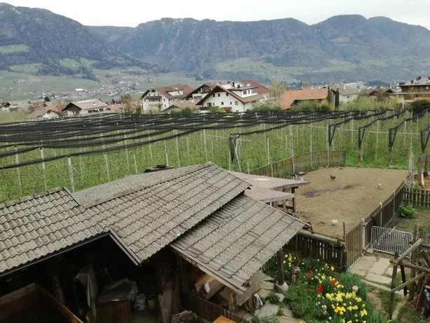 Berggutl - Image 1