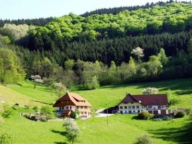 Biobetrieb Morgethof - Image 1