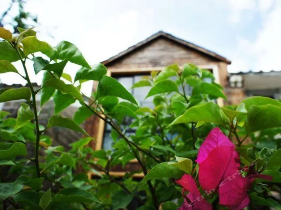 From Midsummer to Cool Autumn Inn - Image 1