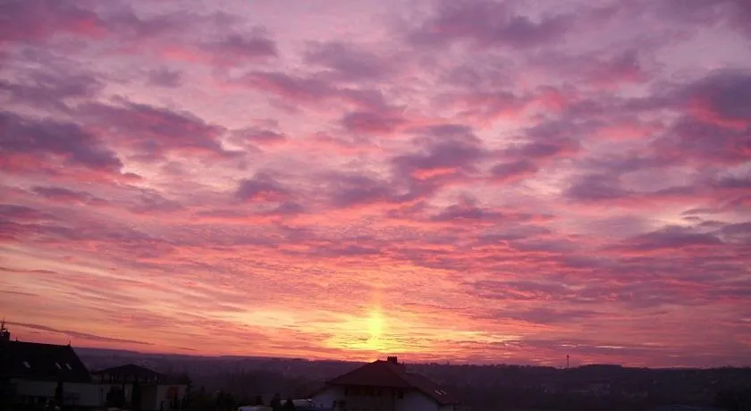 NAPLEMENTE HAZ - Image 1