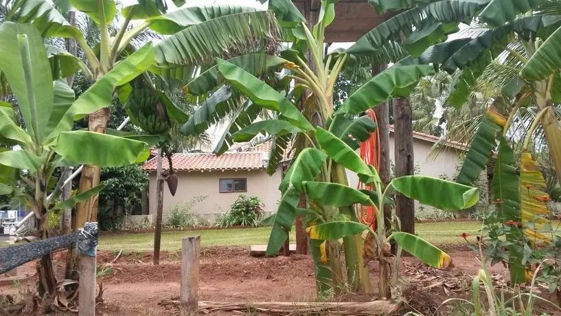 Sitio Sao Bras - Image 1
