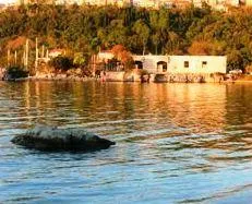 Apartments Barba Gerga - Image 1