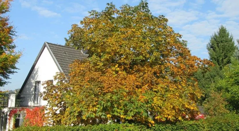 EIFEL Gästewohnung - Image 1