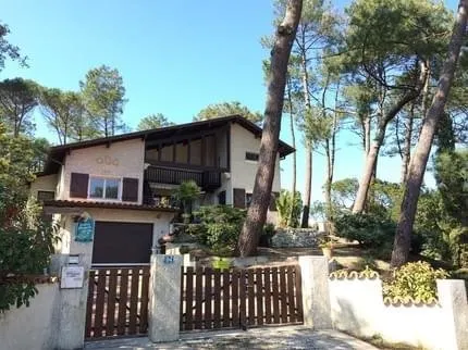 Coco Beach Sporting Lodge - Image 1