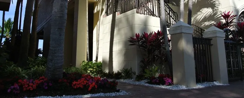 Vista Mare - Wkly - Image 1