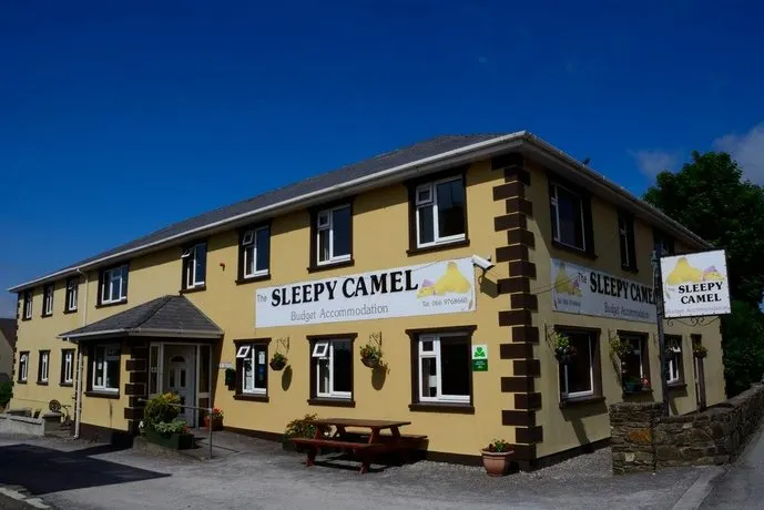 The Sleepy Camel Hostel - Image 1