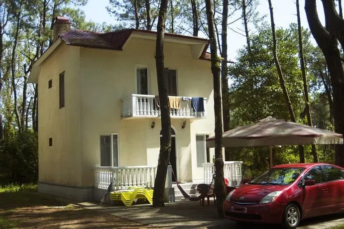 Shekvetili Beach House - Image 1