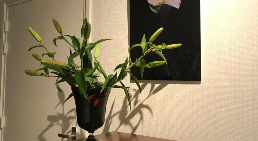 Tilias - Image 1