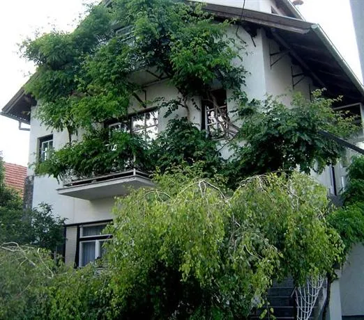 Apartments Kahlina - Image 1